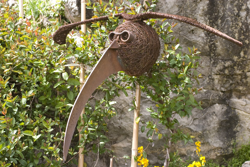 oiseau voyageur
